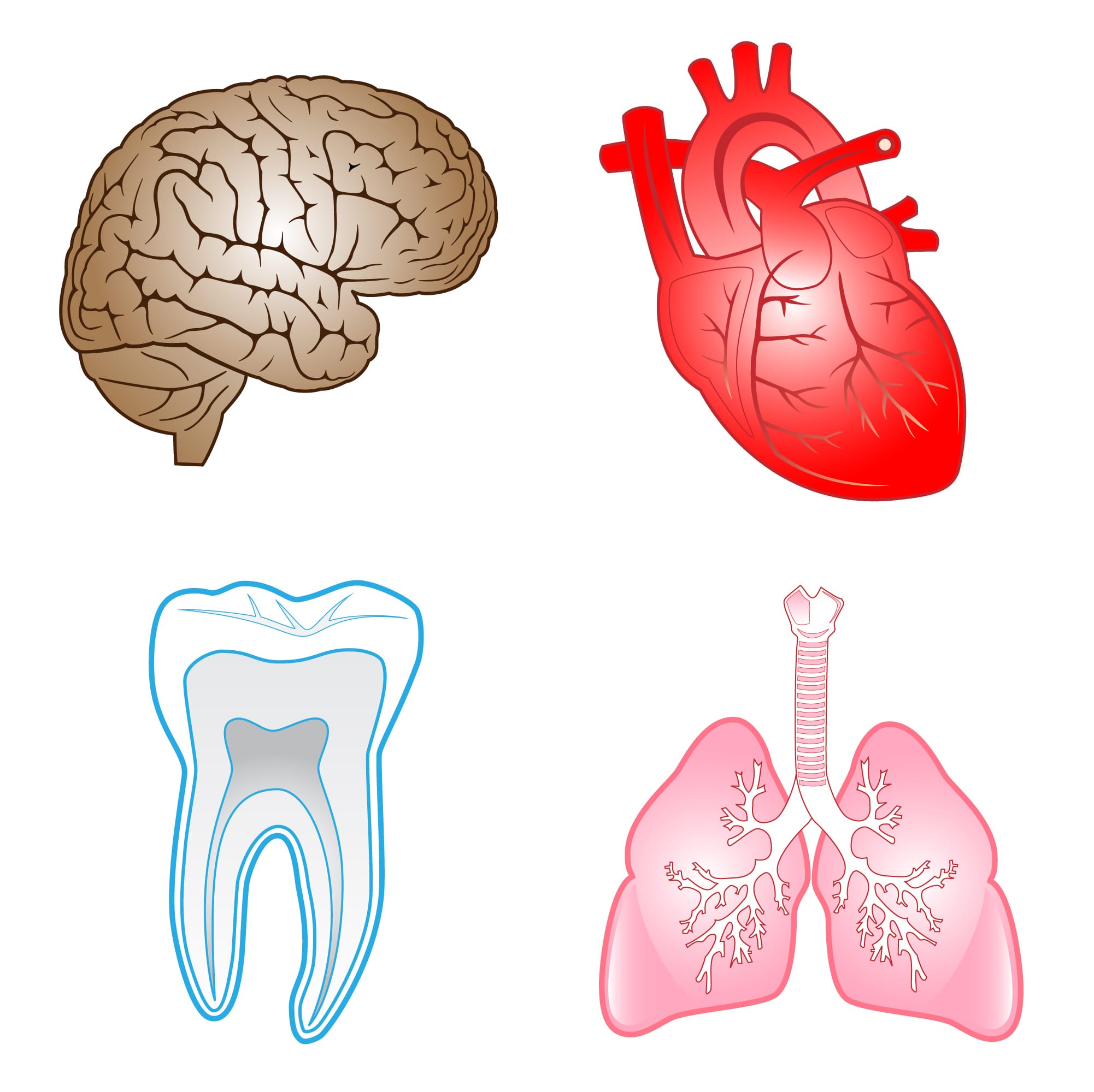 Oral Health and Systemic Health in La Grange, IL